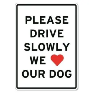 Drive Slowly Dogs