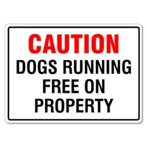 Dogs Running Free