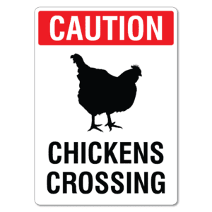 Chickens Crossing