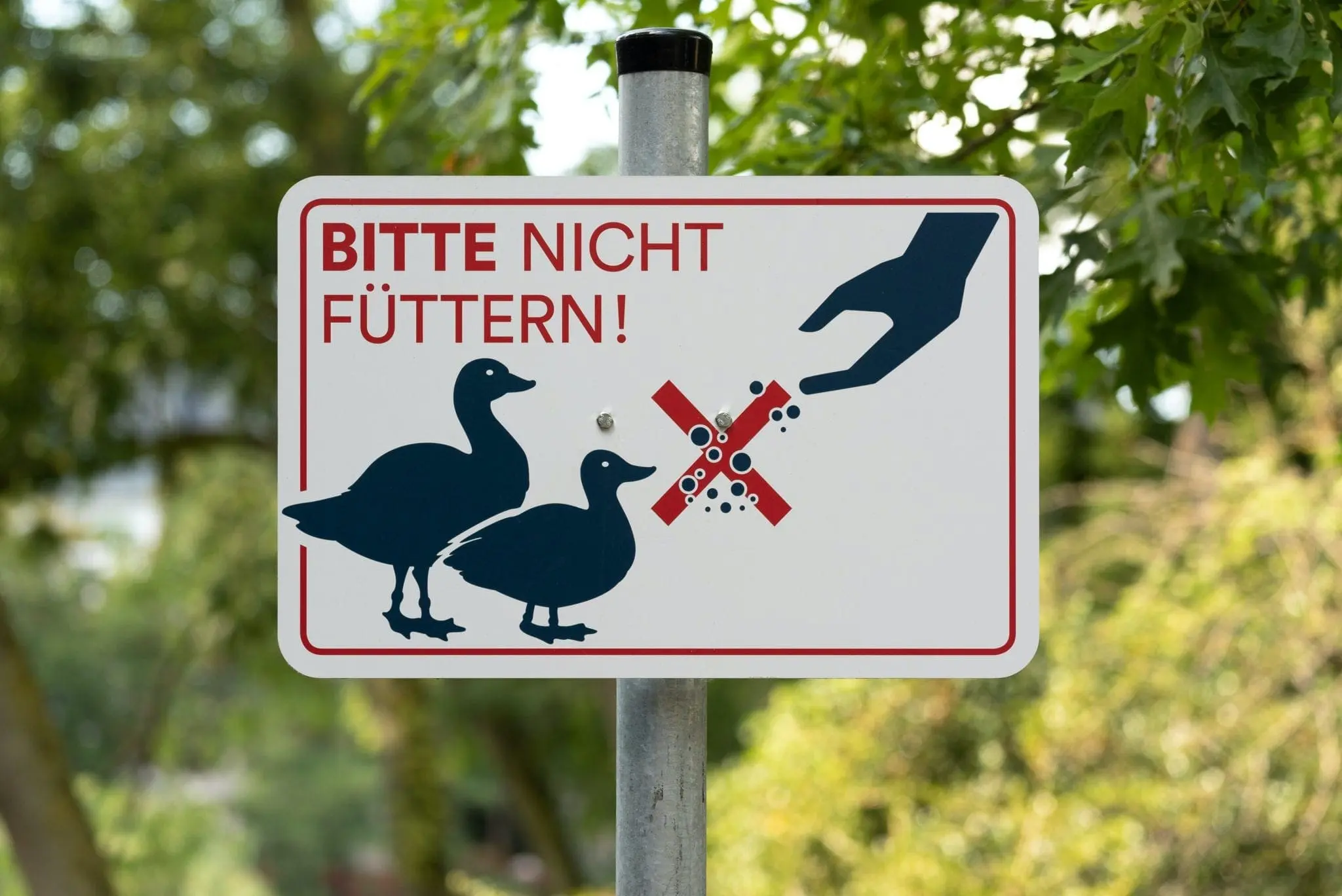 Don't Feed The Birds Sign Unsplash