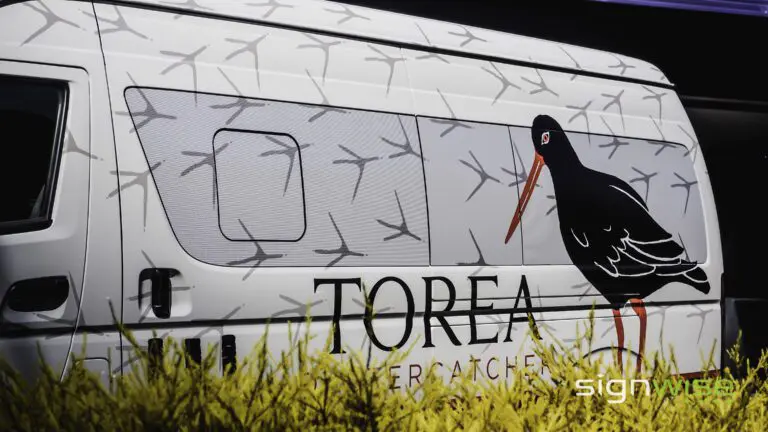 Torea Van Graphics